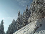 Neiges dans le Haut-Doubs